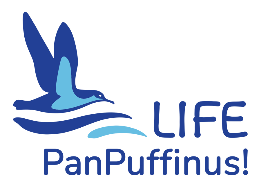 Banner PanPuffinus