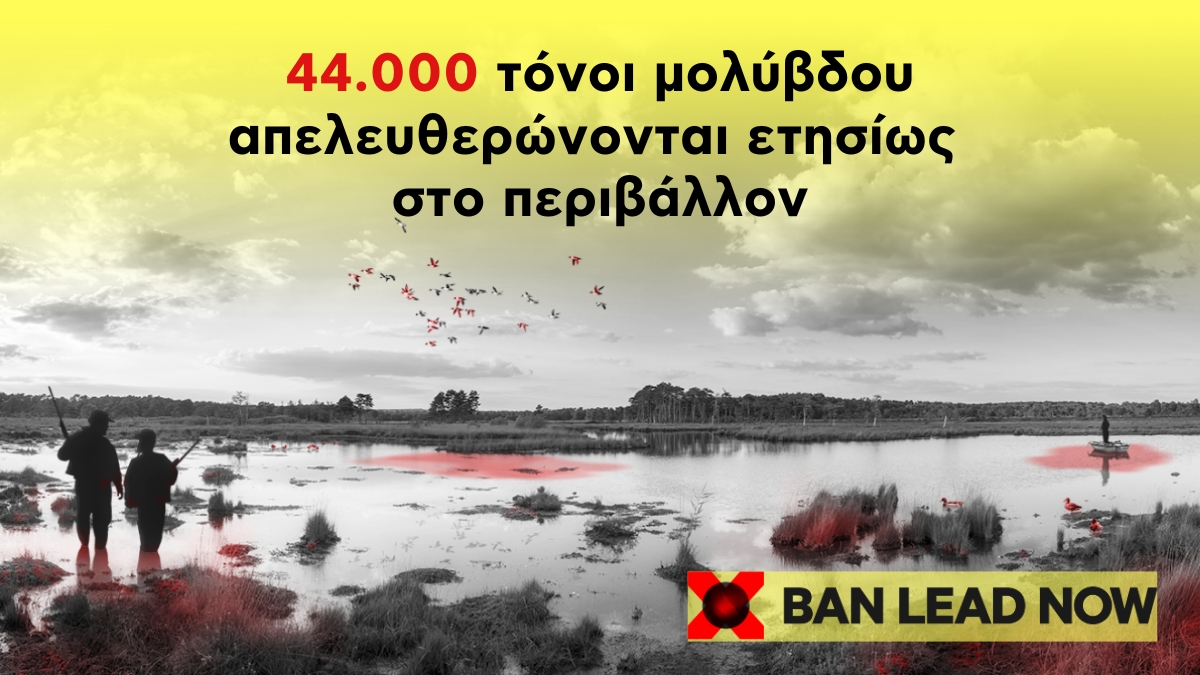 BanLeadNow 44000 tones lead environment