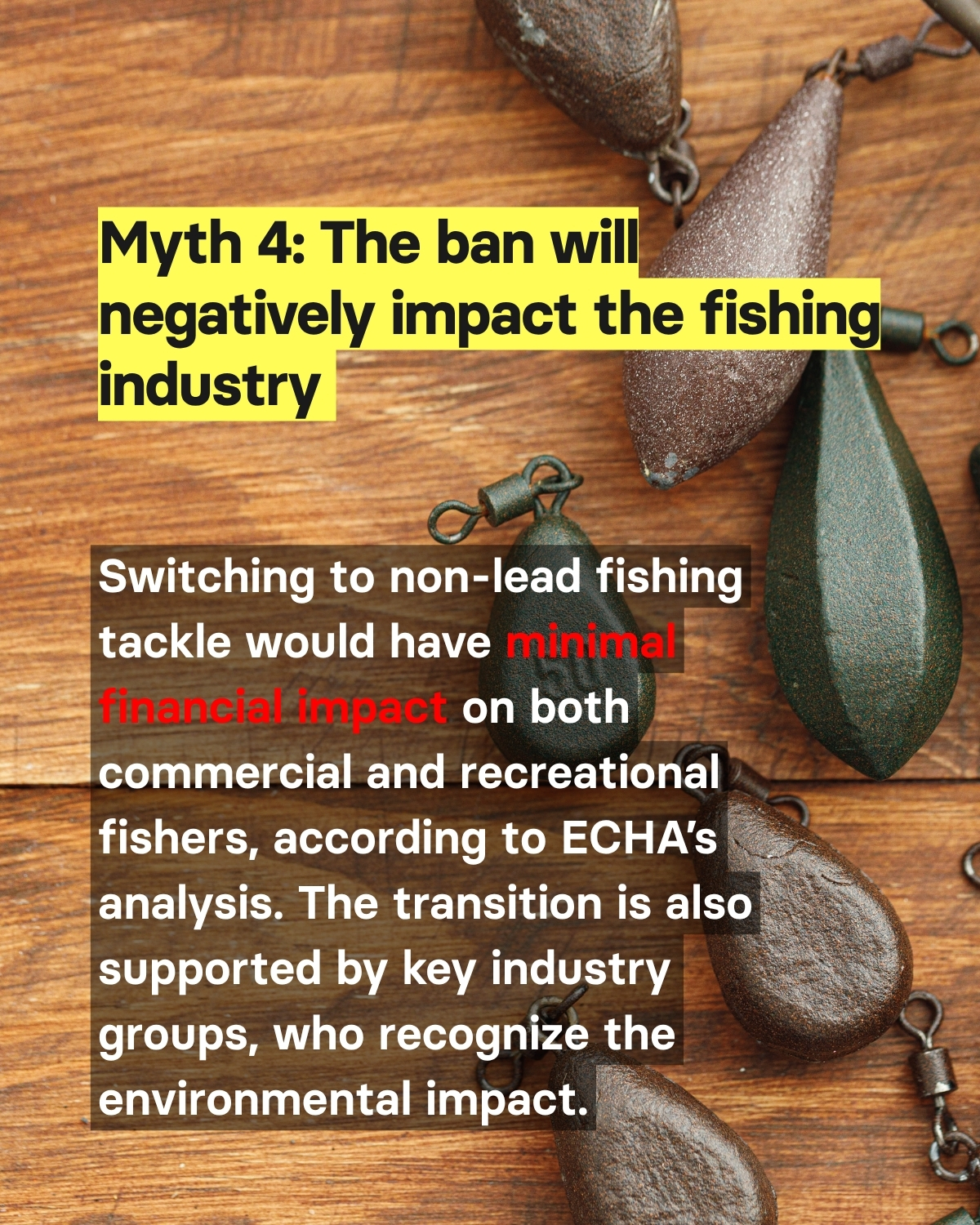 Debunking the myths BanLead EN 5