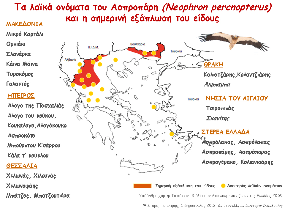 2013 edited egyptian vulture map
