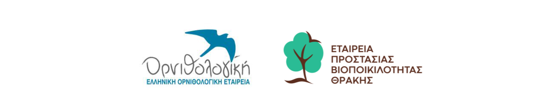 KoinoDT HOS SPBTh final logos