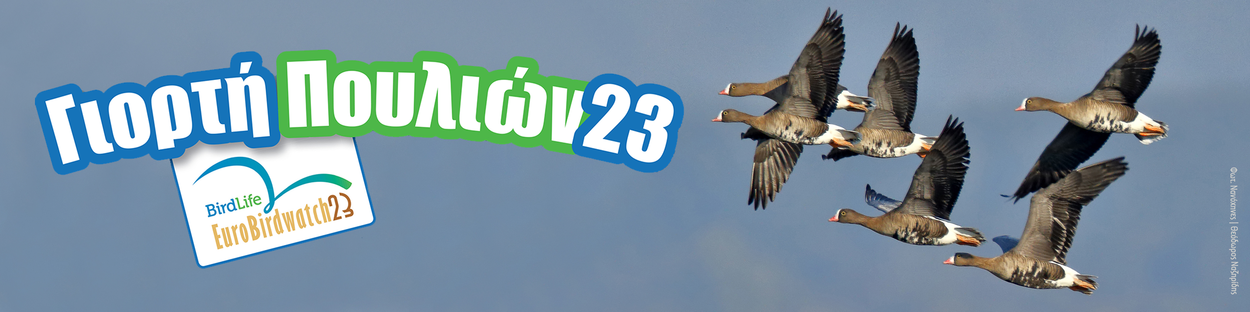 Γιορτή των Πουλιών 2023: γιορτάζουμε...