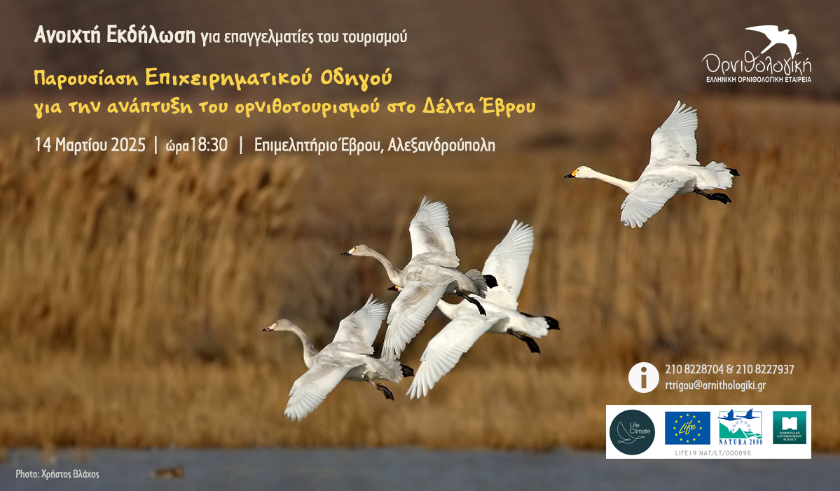 banner event Birding Business Guide 14 03 2025