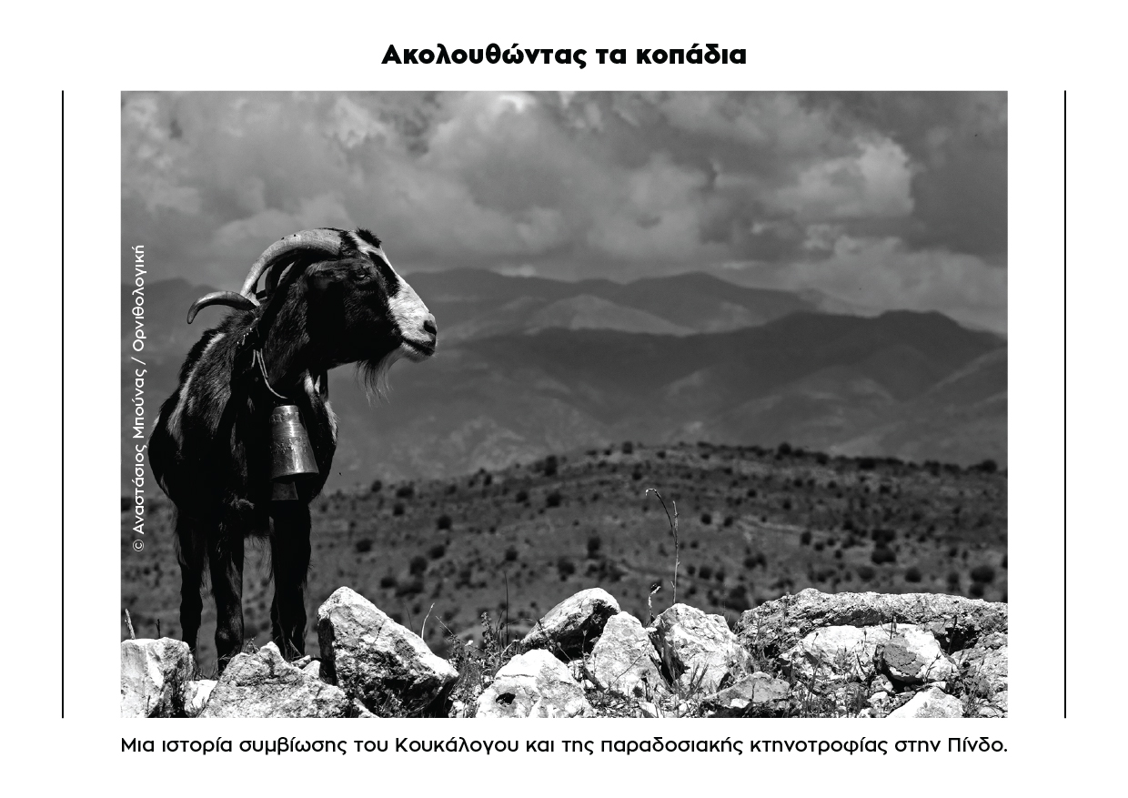 carte postale 2