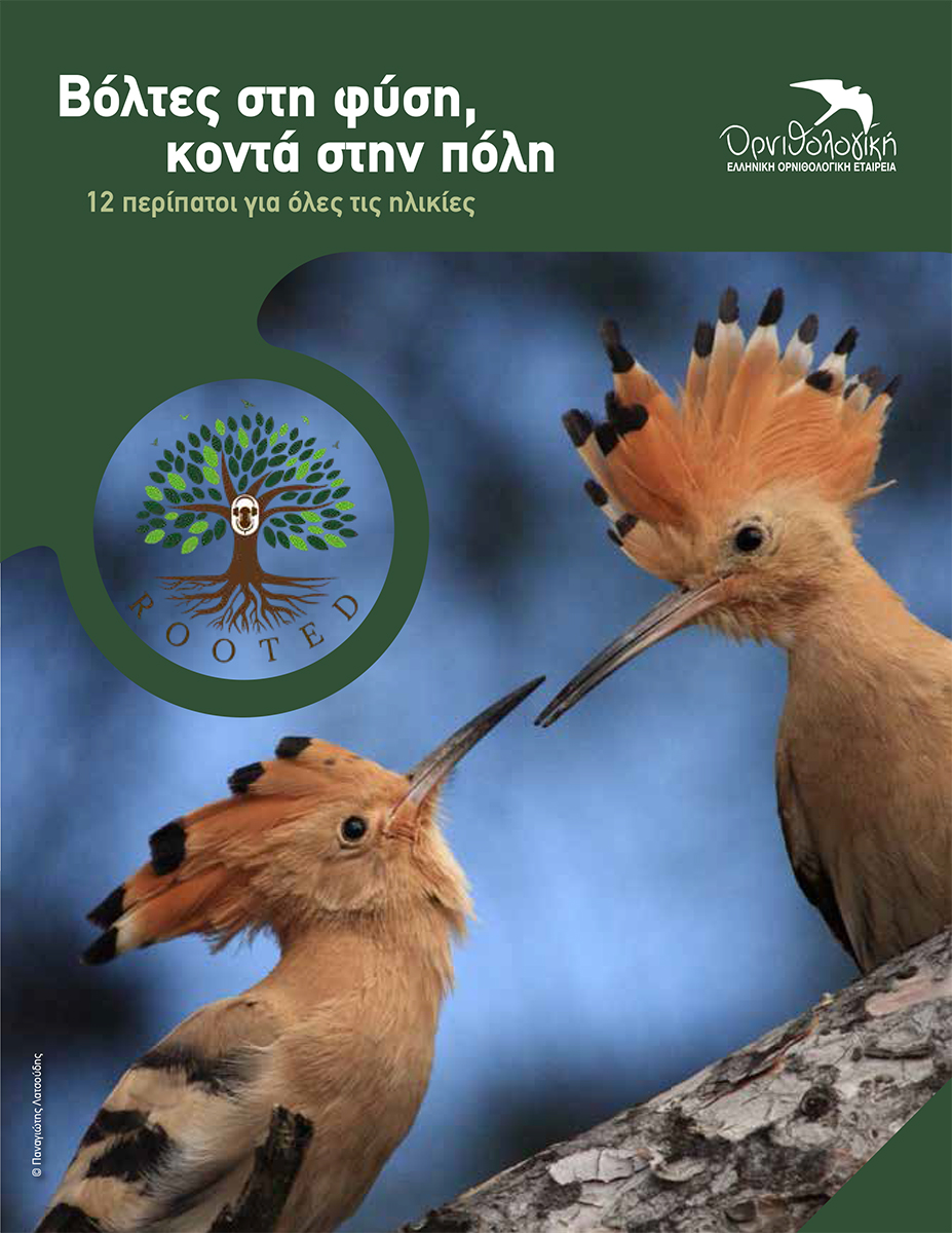 Βόλτες στη φύση, κοντά στην...