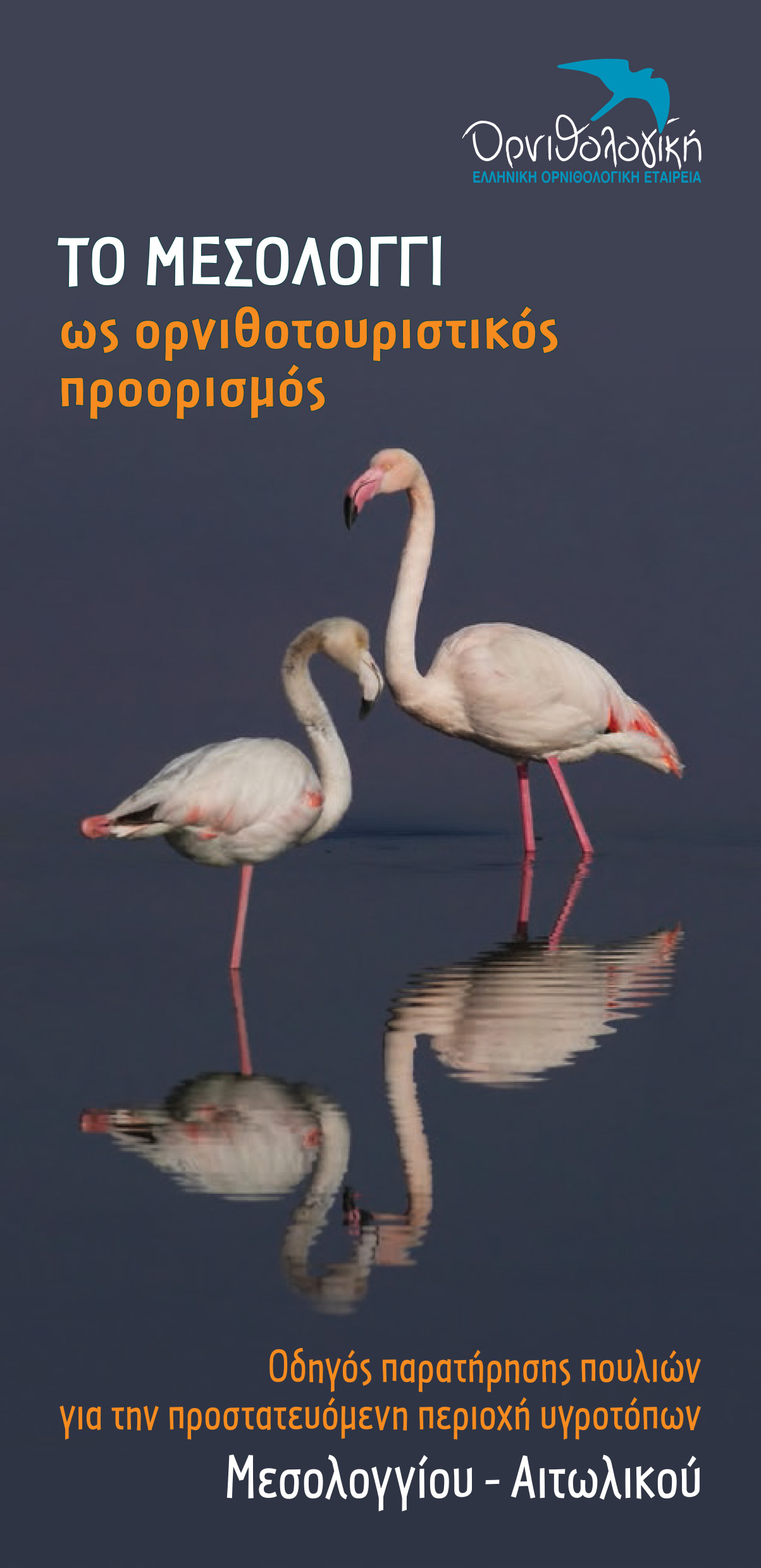 LEAFLET BirdingInMessolonghi Cover GR