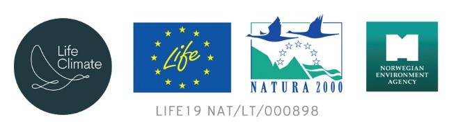 lwfg