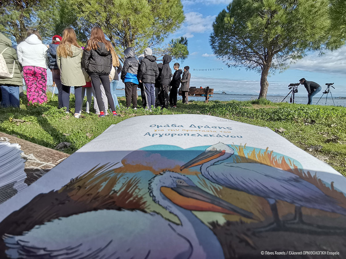 20230202 Lefkada PanosHaskis cr