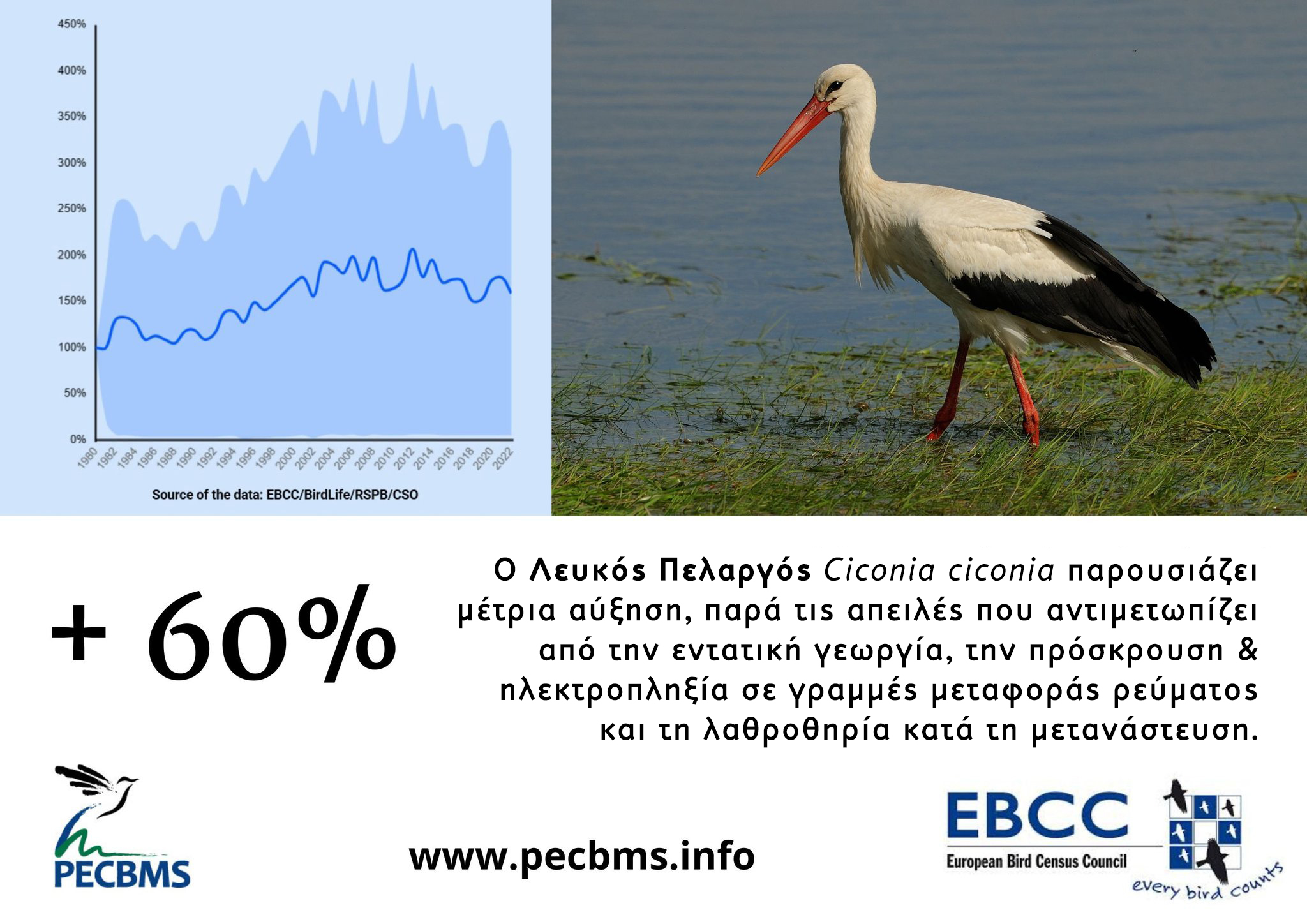Banner EBCC GR