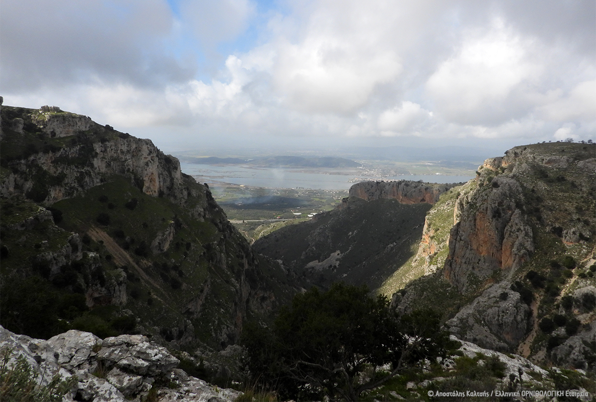 DT LIFE IP Mar24 Arakynthos A Kaltsis