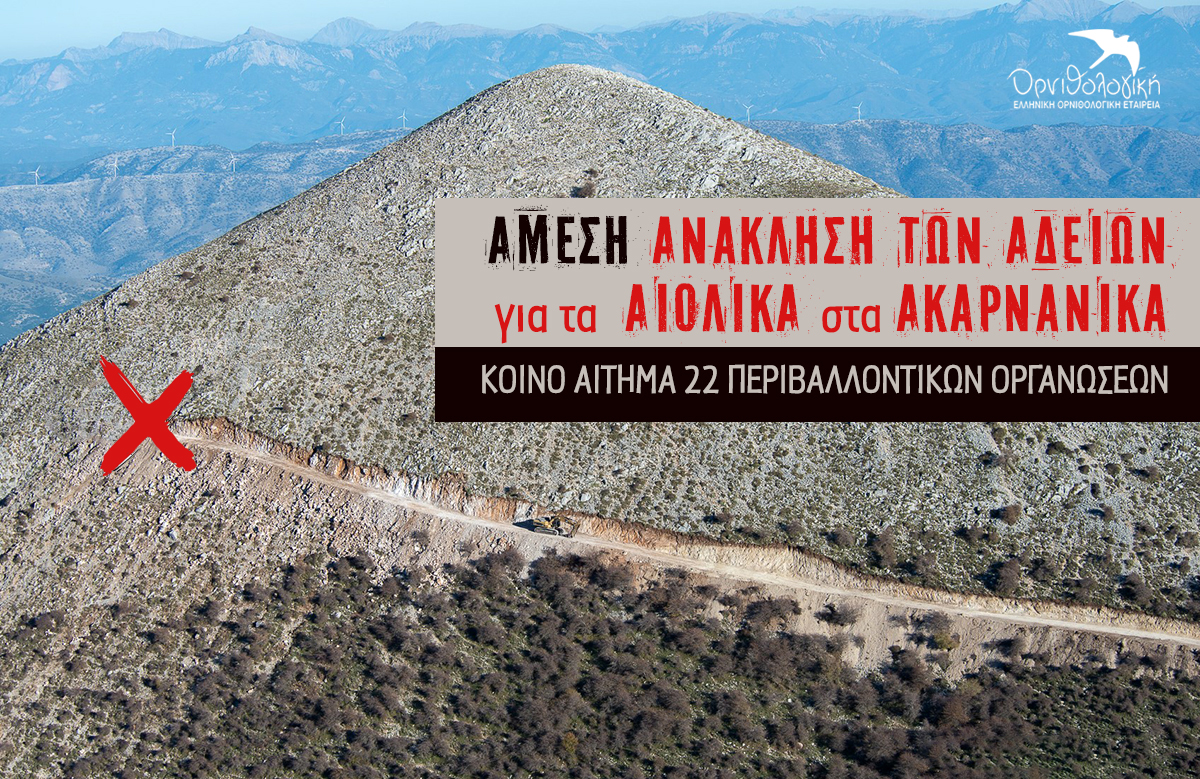 Dianoiksi dromou Akarnanika 11 2024 ORNITHOLOGIKI 3