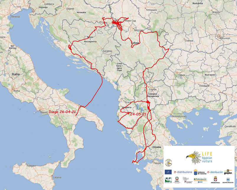 Diego mappa 24 05 21