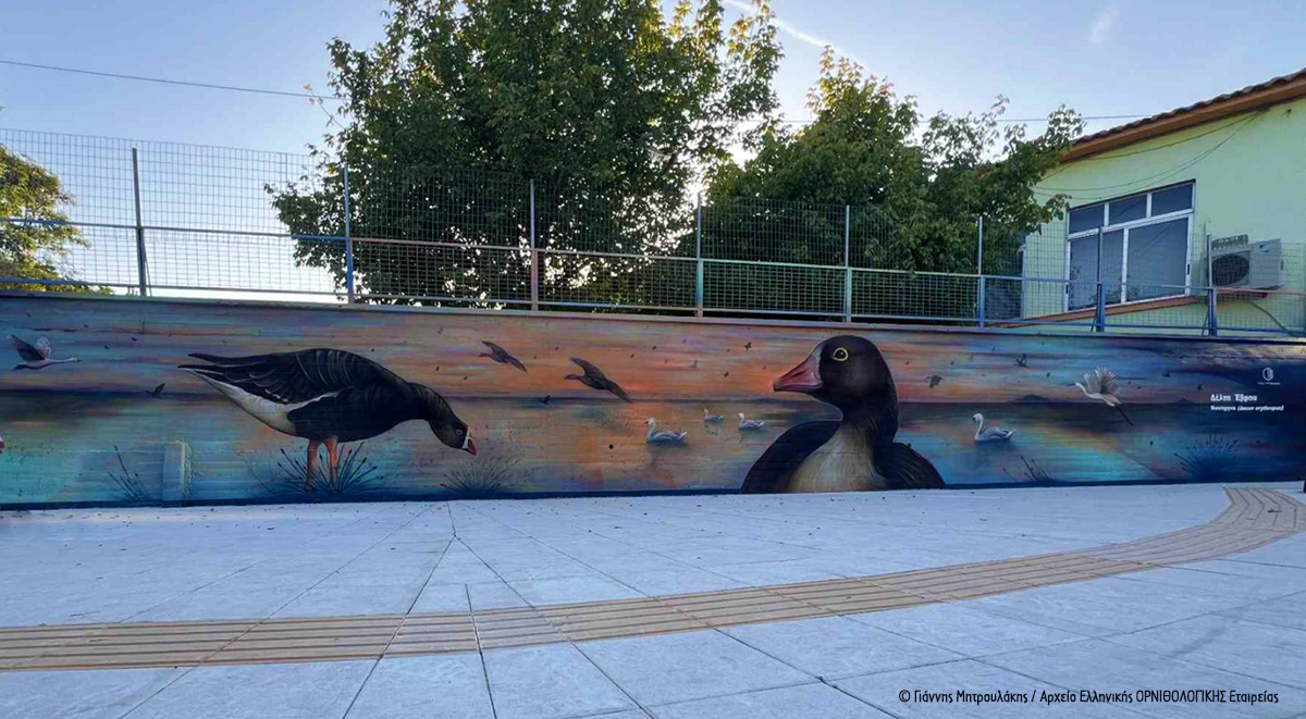 Graffiti Nanoxina 5o Nipiagwgeio Alexandroupoli GMitroulakis cr4