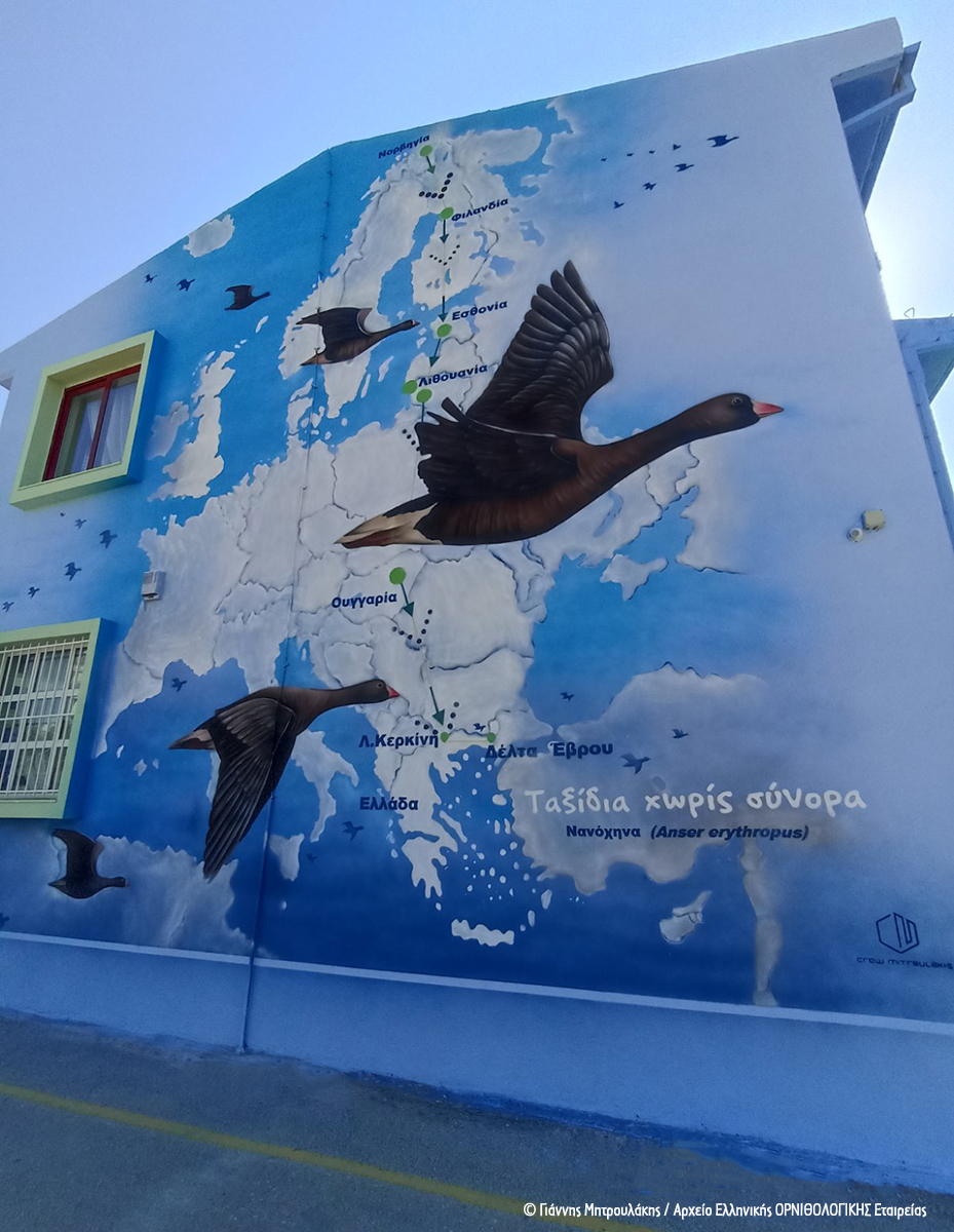 Graffiti Nanoxina 9o DS Alexandroupoli GMitroulakis 8 cr