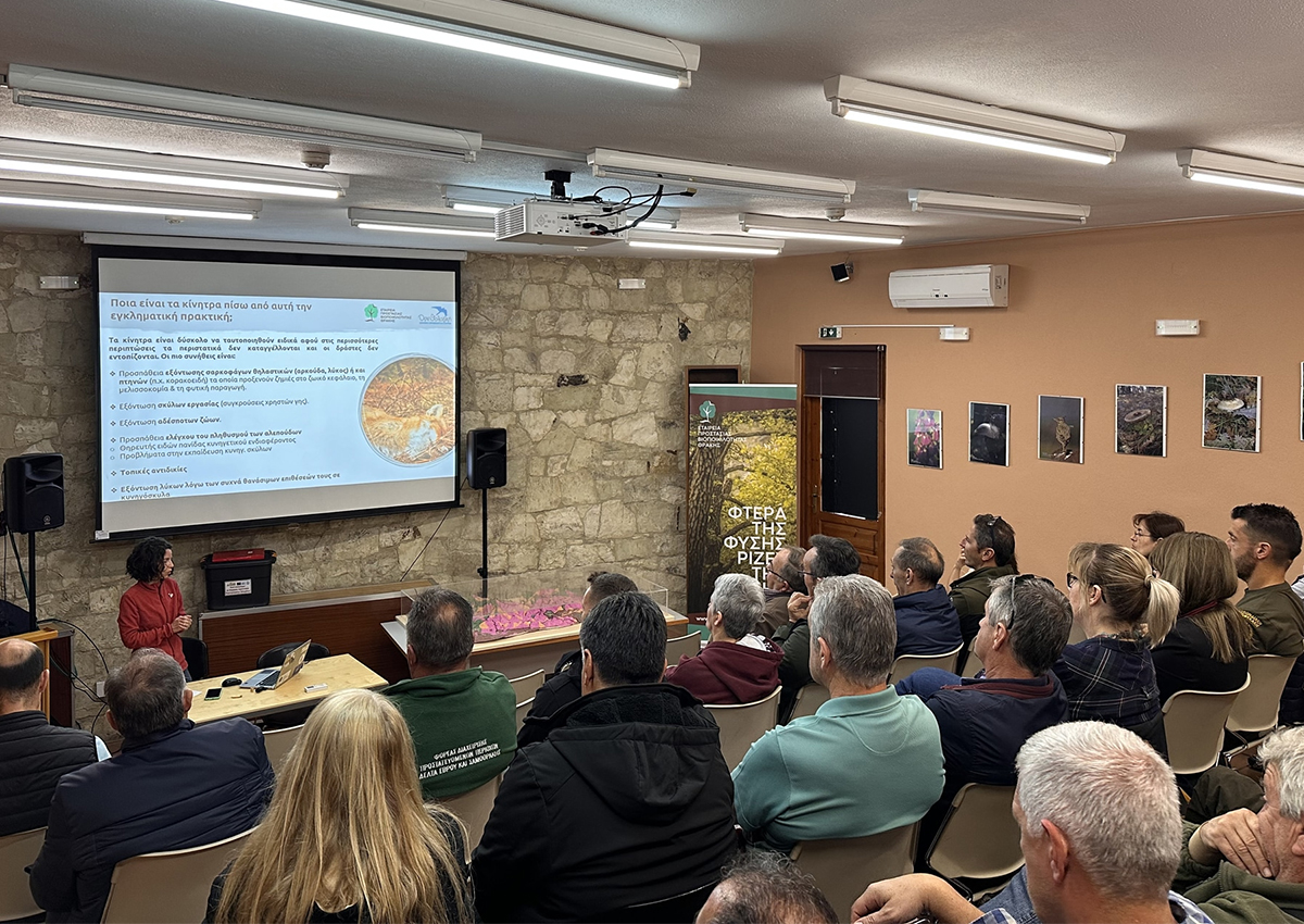 Koino DT HOS SPBTh seminar small