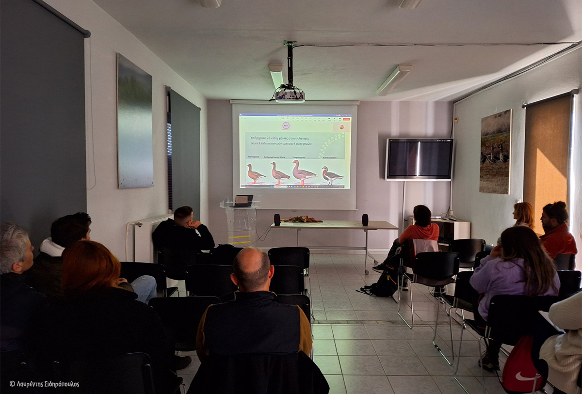 LWfG seminar Delta Evrou Lavrentis Sidiropoulos 2