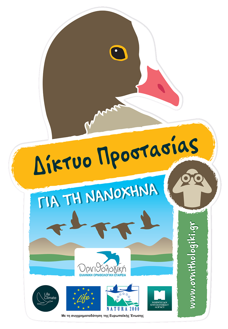STICKER Nanoxina Caretakers