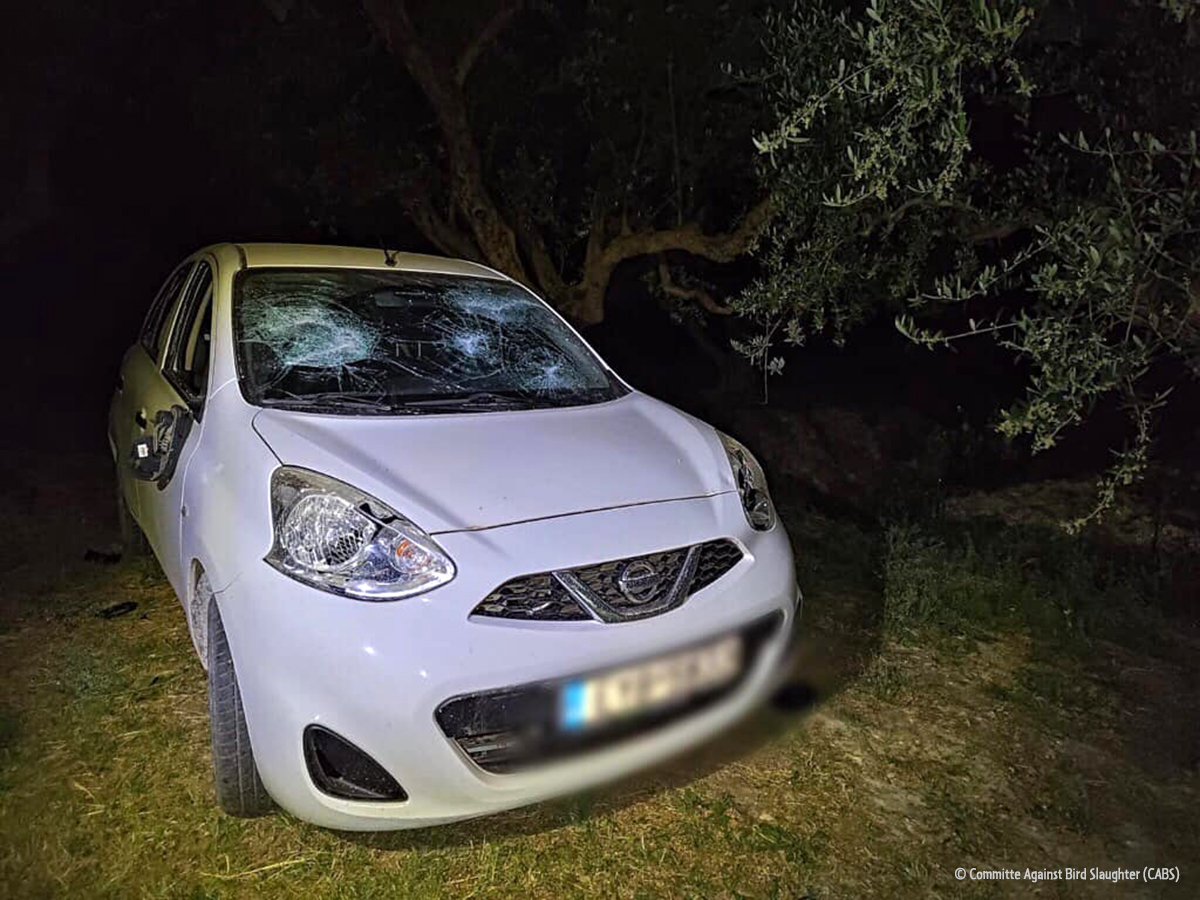 Vandalism Zakynthos spring 2024 CABS 2 cr