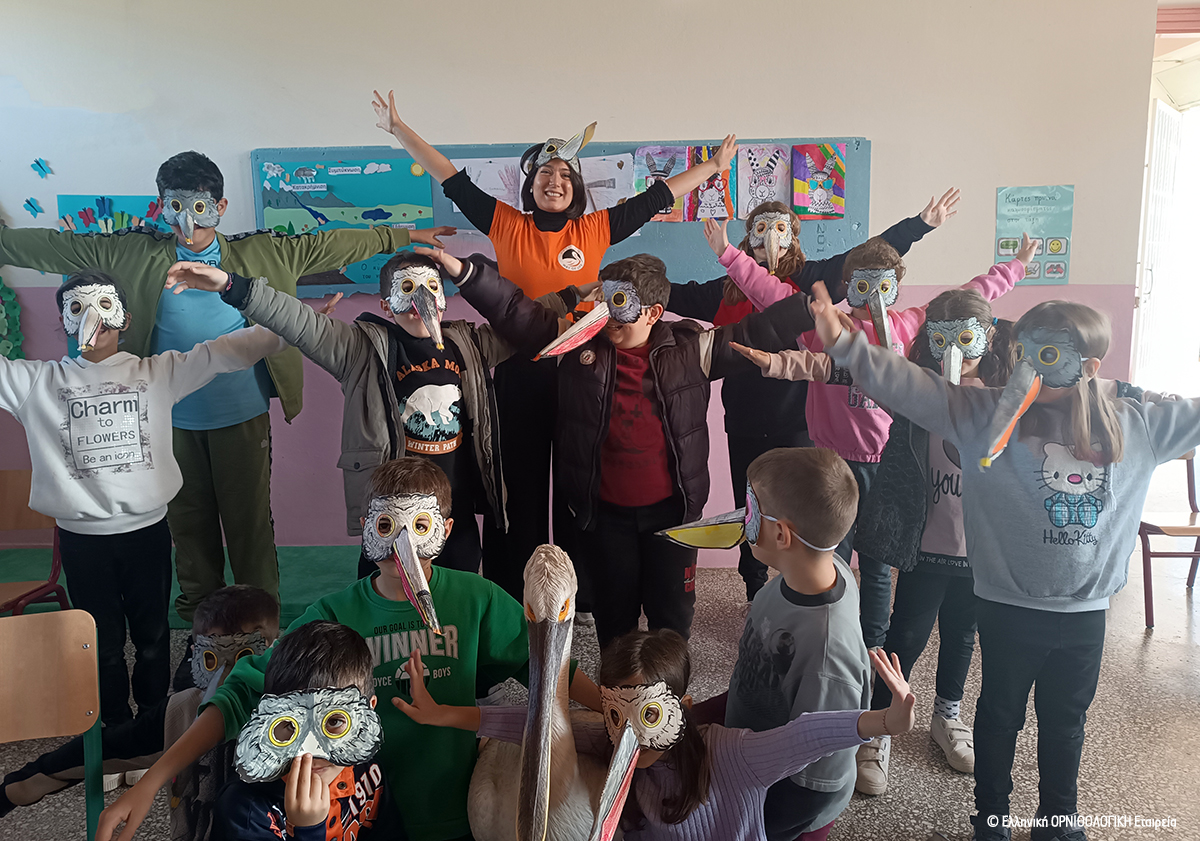 dim kindergarden Viglas 5 cr