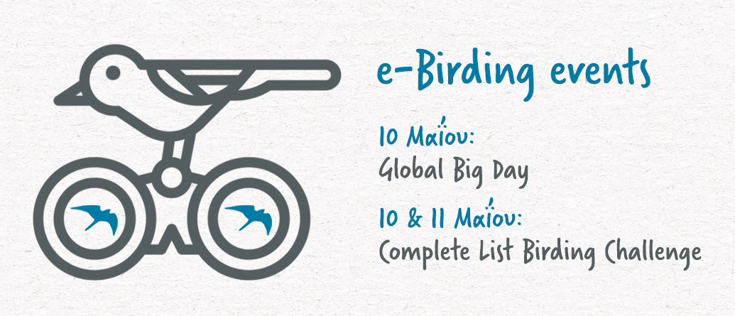 e birding events banner