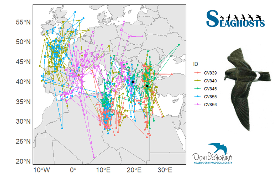 map radiotracking seagosts